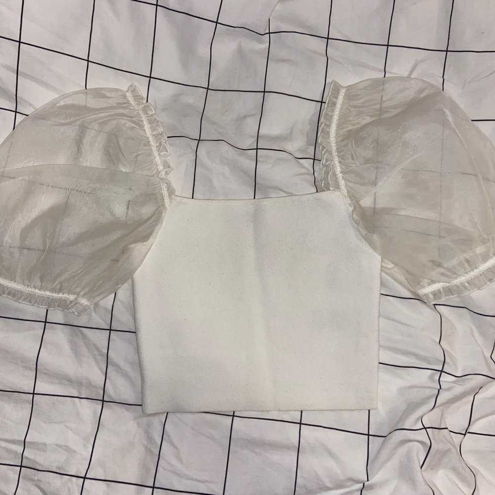 Aritzia White Crop Top with Sheer Sleeves